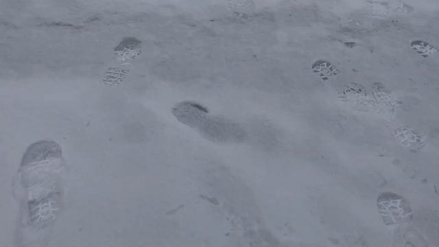 Зимняя рыбалка в Литвиново 28.01.2023 смотреть онлайн