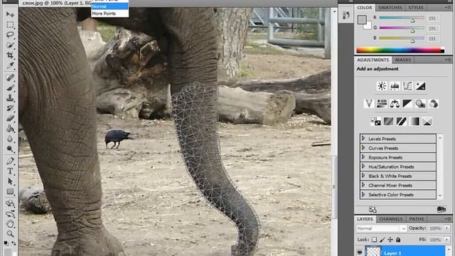 Марионеточная деформация в Adobe Photoshop CS5 (6/19) смотреть онлайн