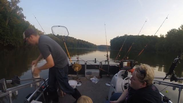 Catfishing tips - Catfishing with bluegill - fishing for catfish смотреть онлайн