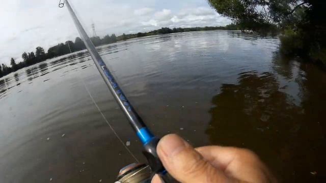 01 августа 2020 года Ловля окуня на отводной поводок,на верхней Москва реке! смотреть онлайн