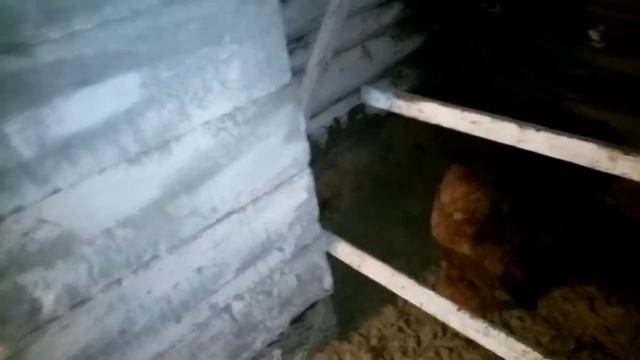 Ремонт Сарая Закончен. Что у меня ПОЛУЧИЛОСЬ!!!   4 сентября 2021г.