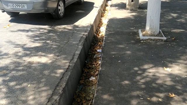 Поездка в Ташкент 2021. Summer in Tashkent. Ярмарка "Малика" смотреть онлайн