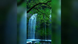 Экхарт Толле! Практика! Часть третья!