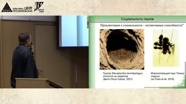 Московский этологический семинар «Социальность у пауков» // Осипов Даниил Валериевич