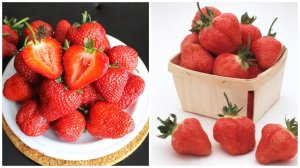 Гордость нашей коллекции - сорта Кэбот и Бурбон!