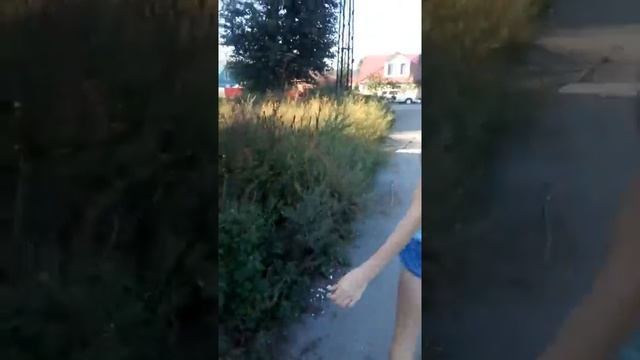 Vlog:Прогулка с Ричем. ? смотреть онлайн