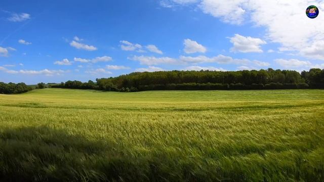 Самая Красивая Мелодия На Свете Для Души! Послушайте! Волшебная Флейта! смотреть онлайн