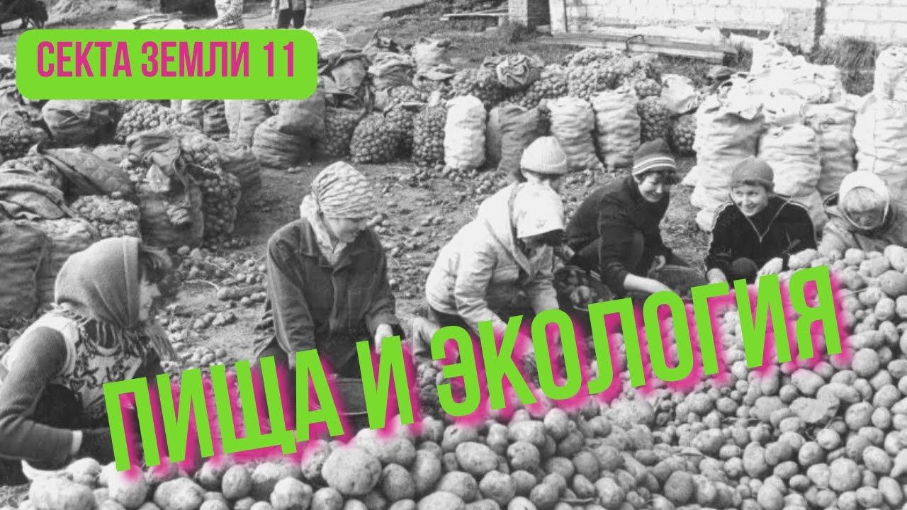 Что не так с продуктами питания? Как мы можем сделать свою пищу экологичней? смотреть онлайн
