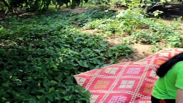 Yummy Cooking Pork and Prawn with Vegetables Delicious Recipe - Village Food Factory смотреть онлайн