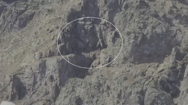 Охота на Джунгарского козерога в  Казахстане