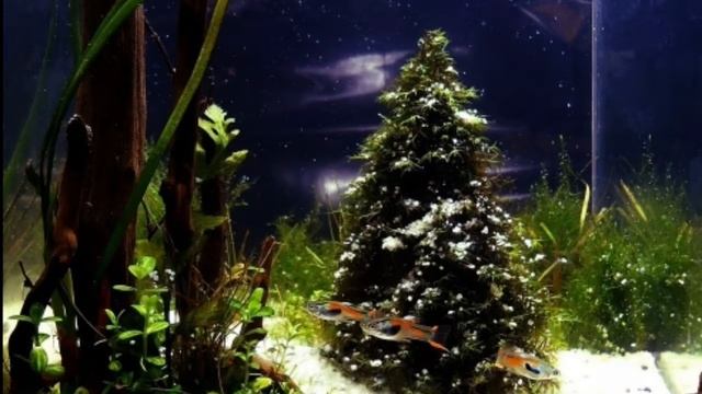 Украшение аквариума на новый год. смотреть онлайн