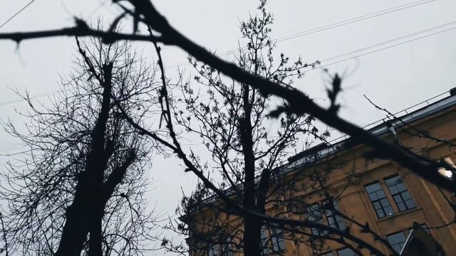 VID 20230123 141510 Цыган мой, ты слышишь...(Гийом Аполлинер)... Павел Васильев Лахтинский смотреть онлайн