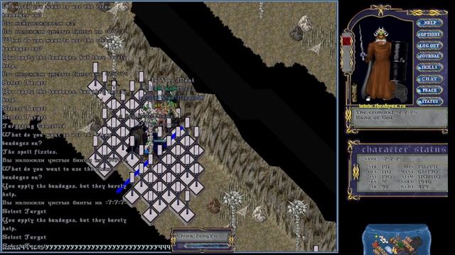 Учеба в академии NL / Часть 2 / UO THE ABYSS смотреть онлайн