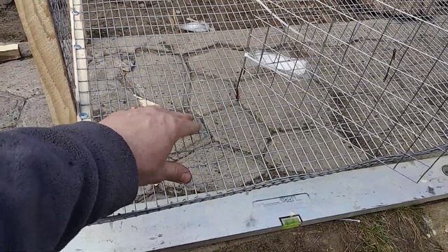 Размеры клетки для курей несушек. смотреть онлайн