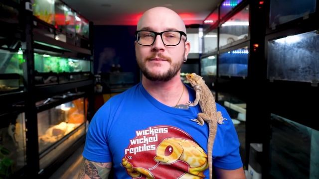 5 Reptiles That Will Be WAY More Expensive in 2023 | Get Them While You Can Afford Them!!! смотреть онлайн