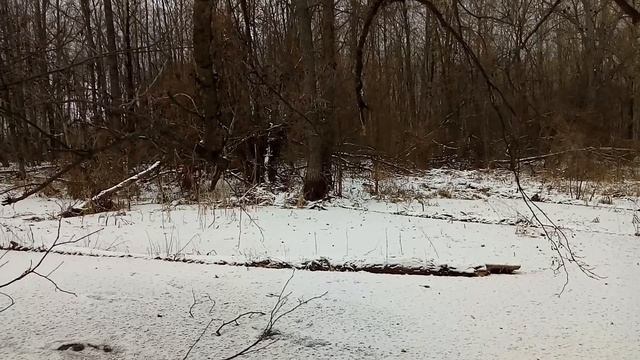 Старая речка