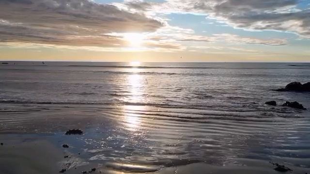 мы родились в сибири//цыплят по осени считают//обзор канала смотреть онлайн