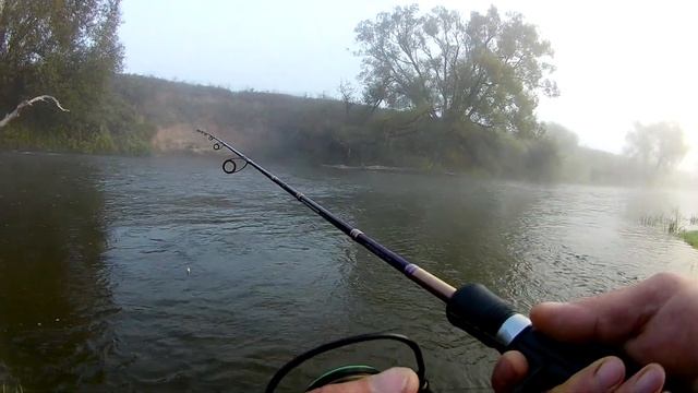 Язь, голавль в сентябре на спиннинг. Рыбалка на малой реке. смотреть онлайн