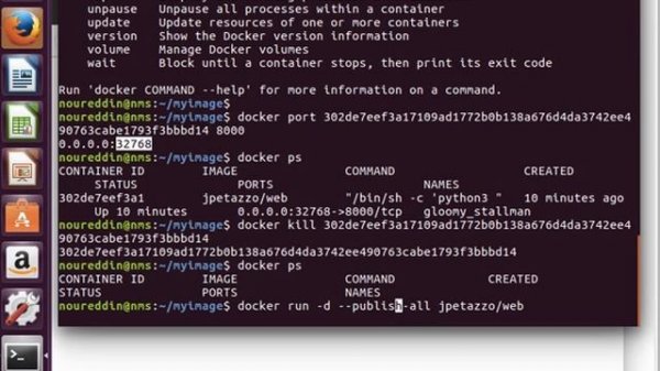 Docker Training 20/29: Docker Container IP Address and Port Number