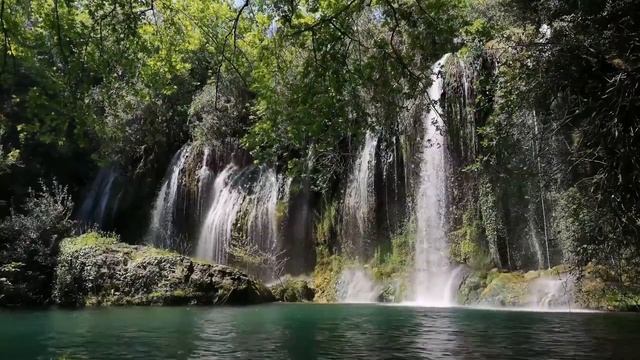 Waterfall Sounds with Birds Chirping in the Forest, Nature Sounds to Fall Asleep and Relax смотреть онлайн
