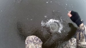 Ловля плотвы на безмотылку. "Деревяшка"