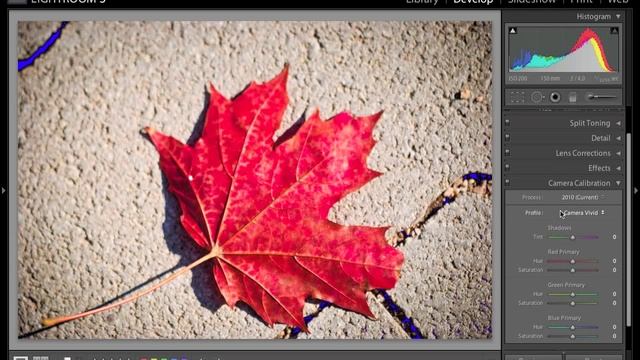 Lightroom 3 - profile kolorystyczne aparatu смотреть онлайн