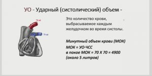 Гемодинамика