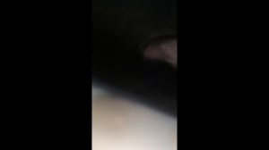 Замена задней подушки двигателя Мерседес VITO 638