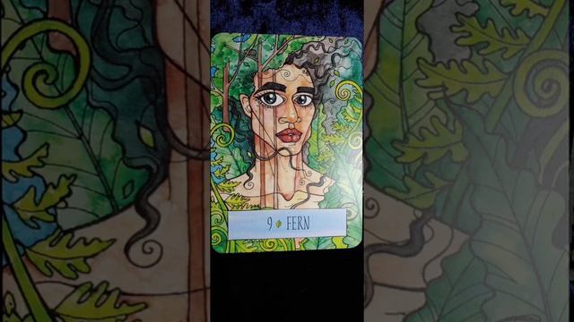 Fern ? Earthcraft Oracle card meaning смотреть онлайн