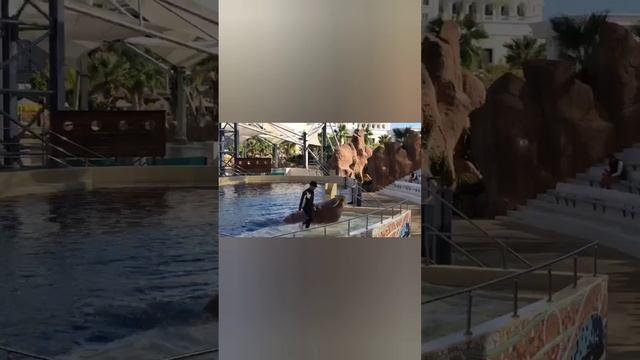 Самый лучший друг!