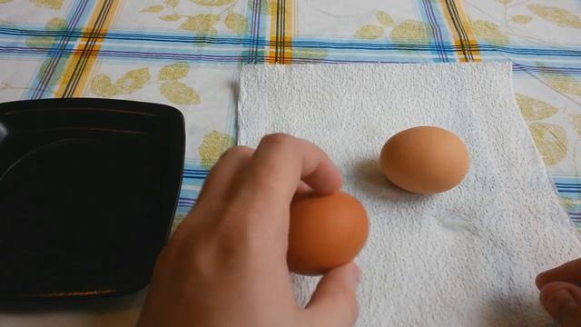 Яйца Каждый День