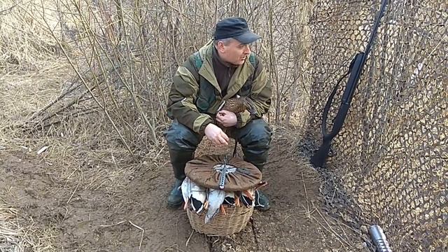Охота с подсадной уткой весной апрель 2018 ( в конце кружок для подсадной утки) смотреть онлайн