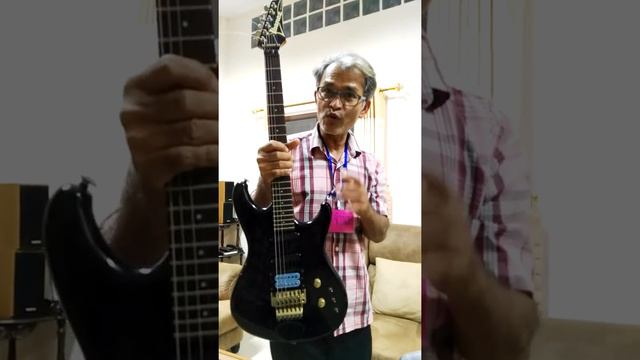 Bunny & ibanez pro line series смотреть онлайн