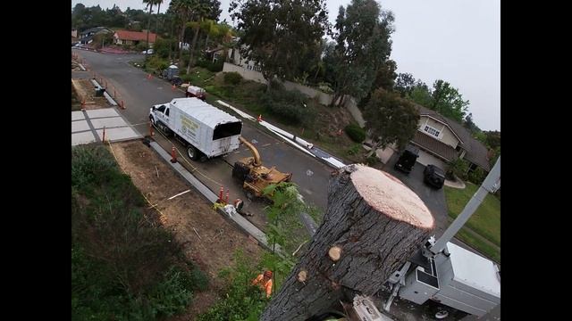 Liquidambar Styraciflua Removed / Rancho Santa Fe CA смотреть онлайн