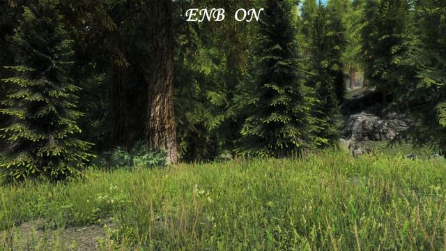 Skyrim SE - Vividian ENB SE смотреть онлайн