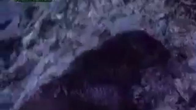 Гринпис смотреть онлайн