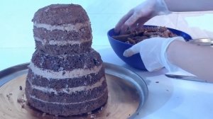 ТОРТЫ 3д торт Мишка Тедди Как собрать и украсить кремовый торт / 3D cake  Bear /// Olya Tortik