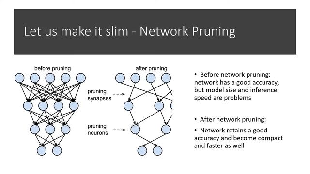 CNIT 62300 - Pruning YOLO v3 for embedded system смотреть онлайн