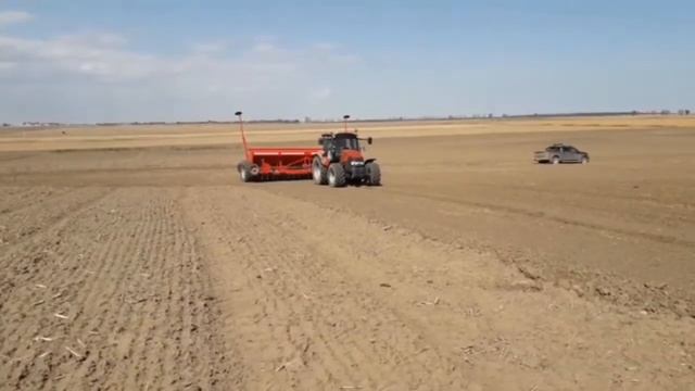 Alfa 6 смотреть онлайн