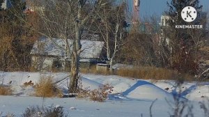 кроухантинг, 177cal, 4.5mm, slug pellets, слаг, полнотелая пуля, буллпап доберман, crow hunting