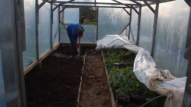 Женские будни. Утки съели рассаду//участок весной//баба или мужик? смотреть онлайн