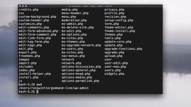 Command Line/Terminal Basics 2: Directories смотреть онлайн
