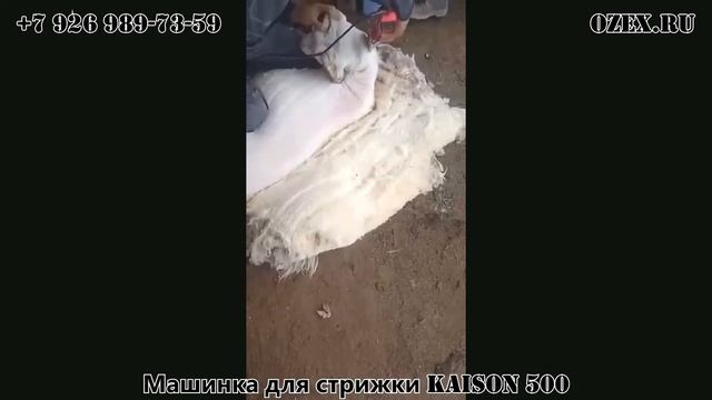 Машинка для стрижки KAISON 500 (6 скоростей) смотреть онлайн