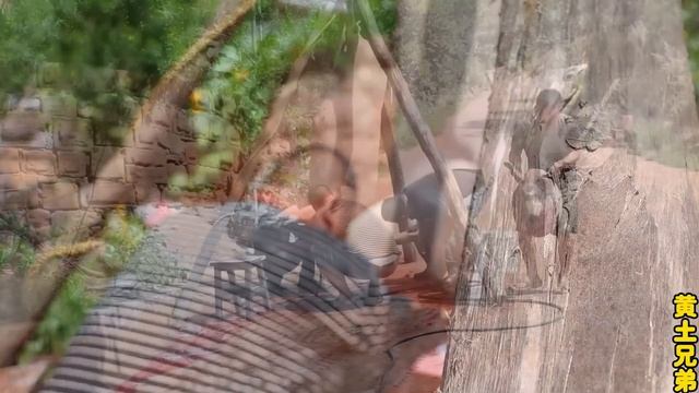 给霞姐家收拾600斤巨无霸大猪！全猪宴13个人吃到撑，大块大块肉太解馋了！【黄土兄弟】 смотреть онлайн
