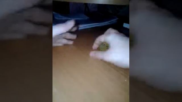 Скранет з Атака Вирусов обзор смотреть онлайн