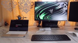 Razer Thunderbolt 4 Dock | Connect Your Battle Station!