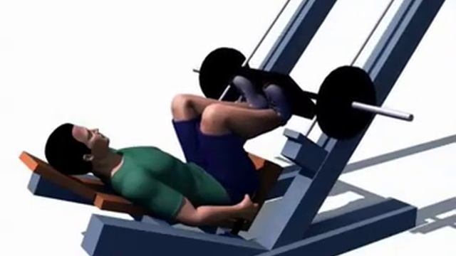 Жим ногами в тренажере под углом смотреть онлайн