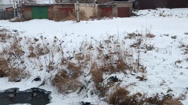 времена голодные и холодные! смотреть онлайн