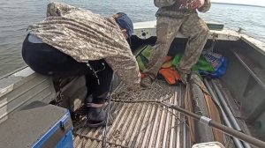 sea pro 9.9-15   на прогресс 4