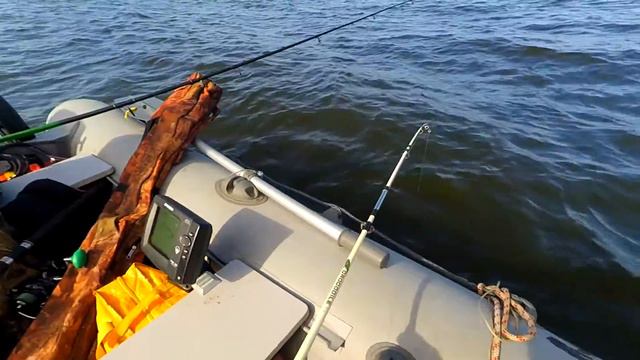 Как мы пытались, но не поймали ни одного сома на Сурском =) смотреть онлайн